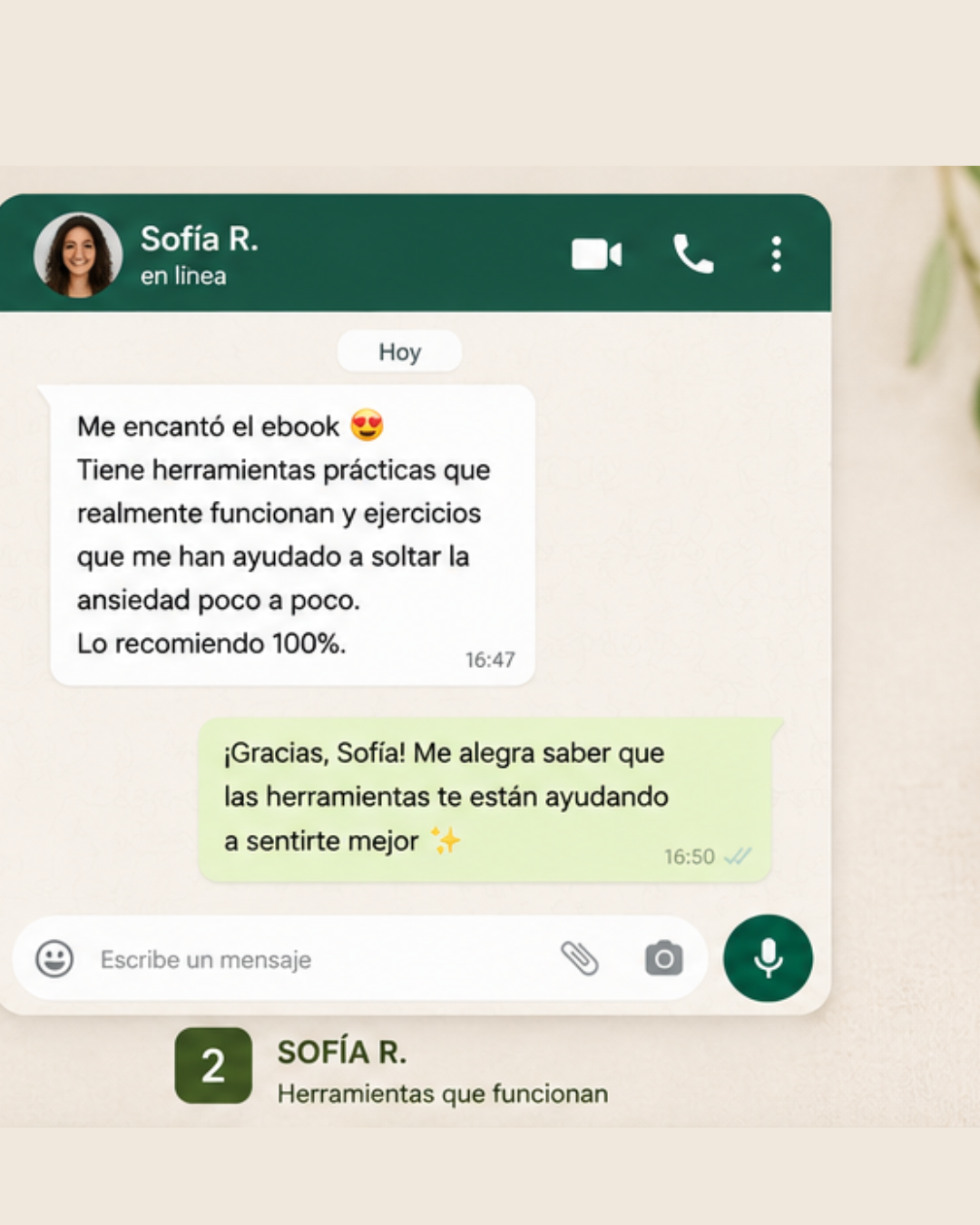 Testimonio de lectora 2